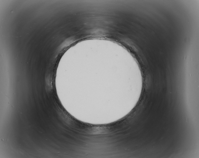 X0000103971451200810311515