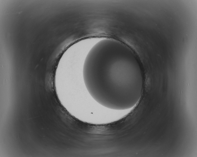 X0000103971455200810311515