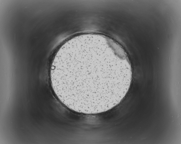X0000103971456200810311515