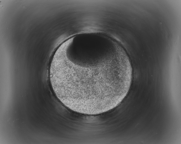 X0000103971459200810311515