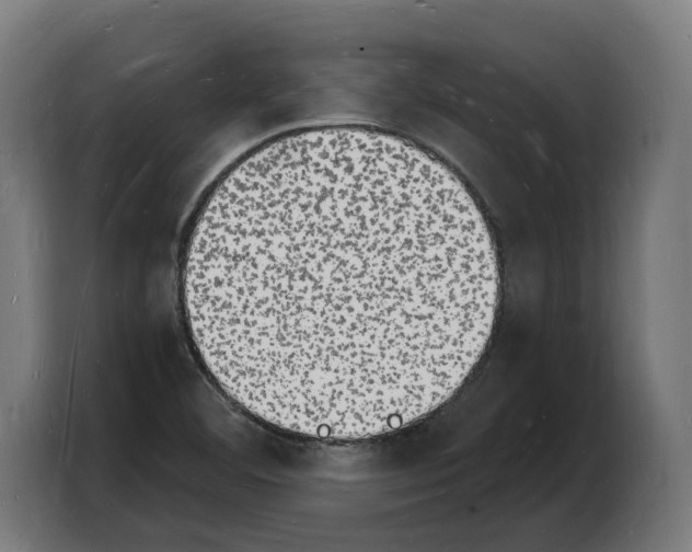 X0000103971460200810311515