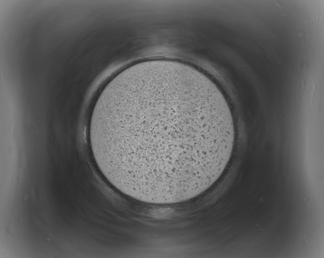 X0000103971462200810311515
