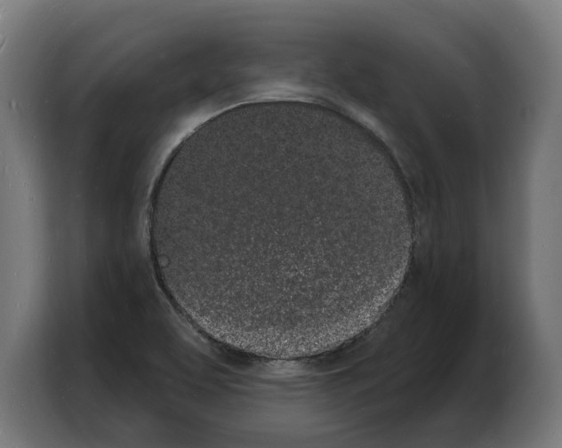 X0000103971463200810311515