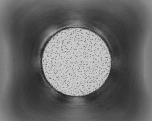 X0000103971464200810311515