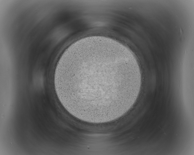 X0000103971465200810311515