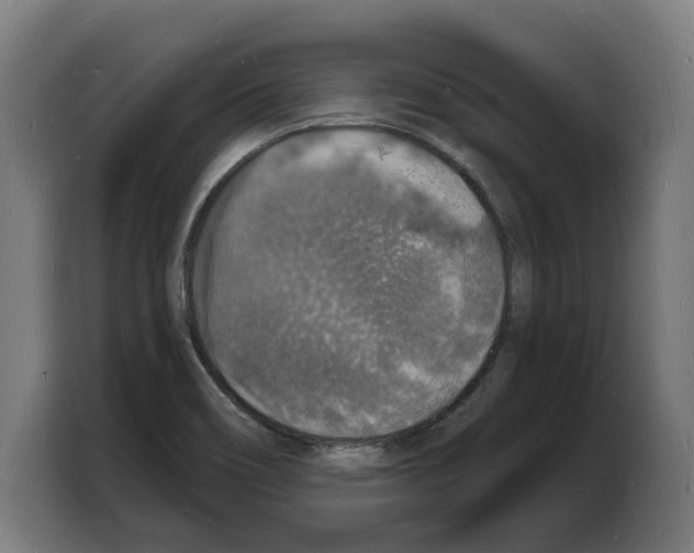 X0000103971466200810311515