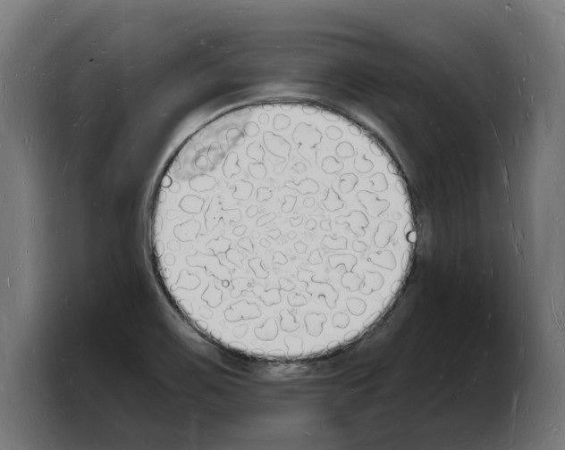 X0000103971467200810311515