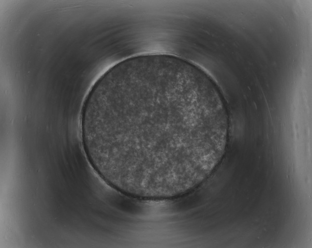 X0000103971468200810311515