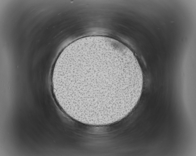 X0000103971471200810311515