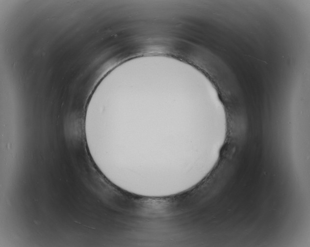 X0000103971473200810311515