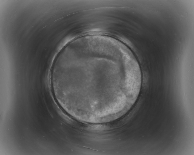 X0000103971474200810311515