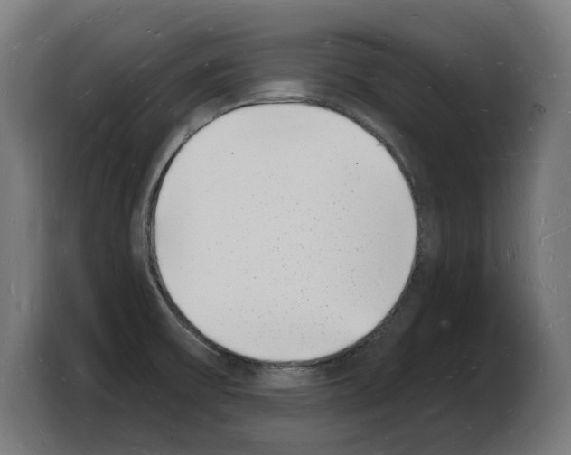 X0000103971475200810311515