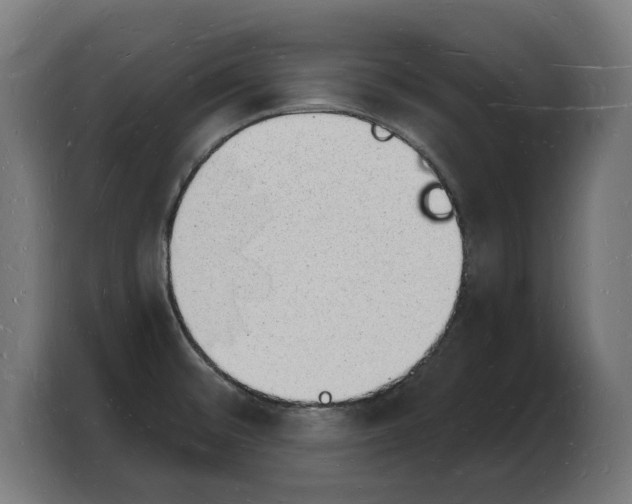 X0000103971476200810311515