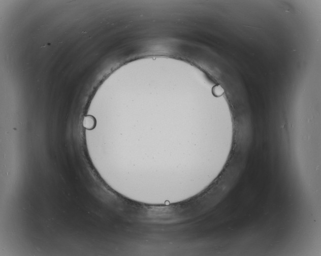 X0000103971477200810311514