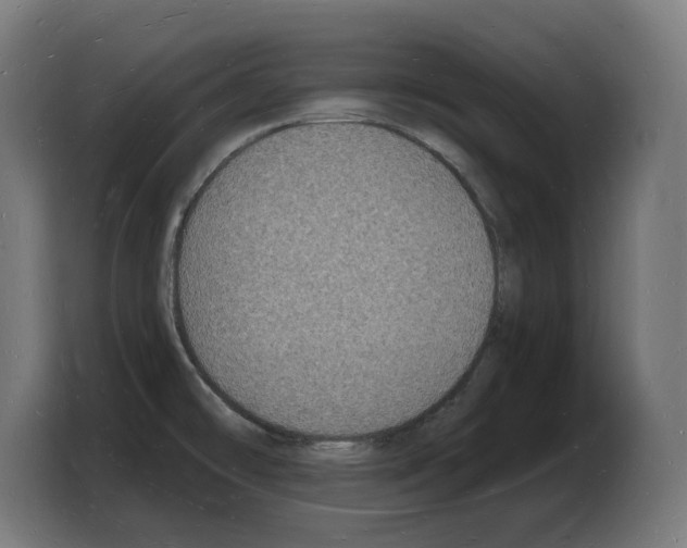 X0000103971478200810311514
