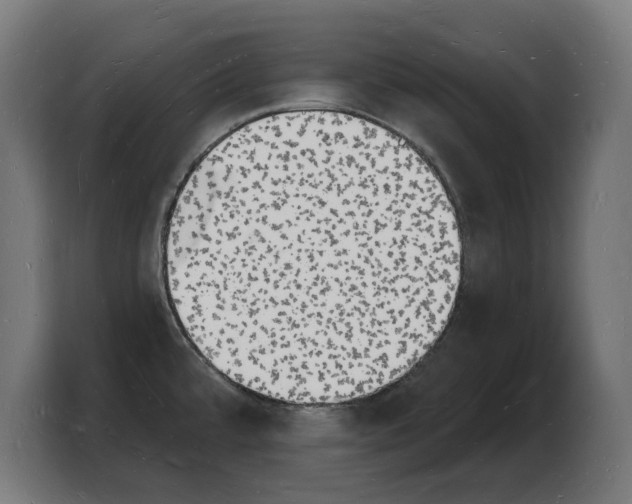 X0000103971480200810311514