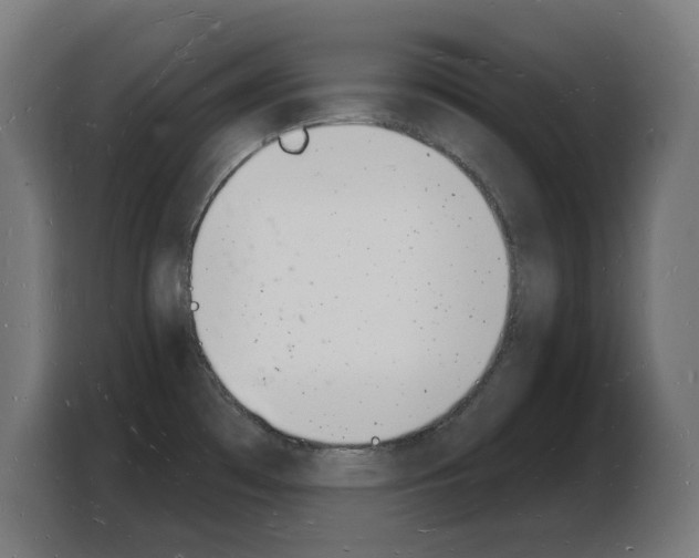 X0000103971481200810311514