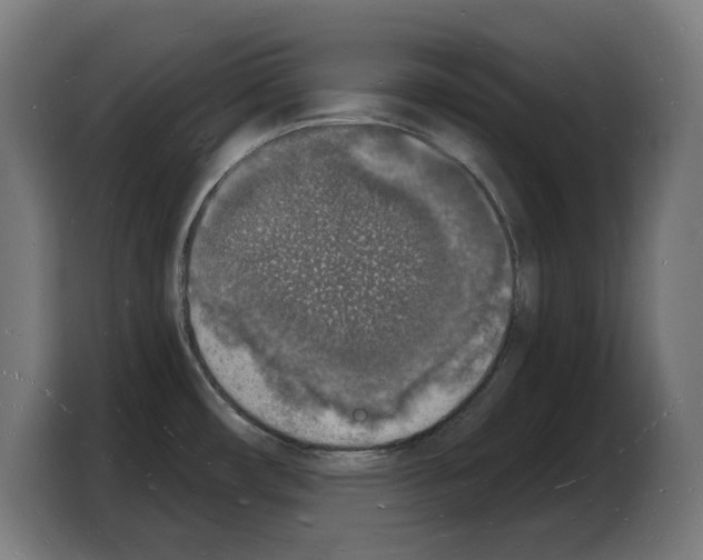 X0000103971482200810311514