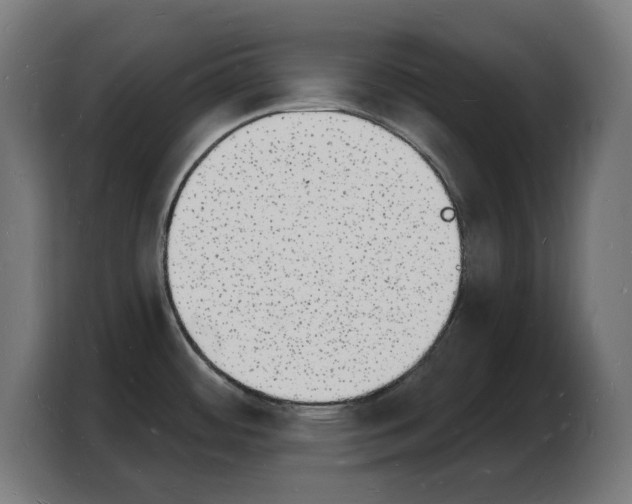 X0000103971484200810311514
