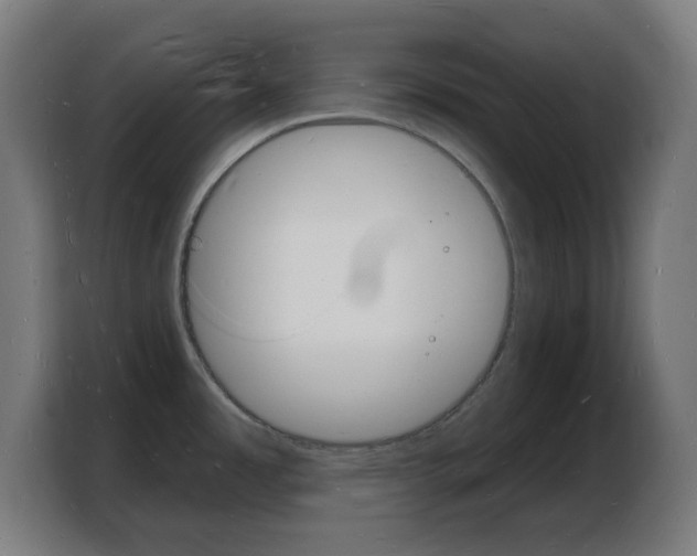 X0000103971485200810311514
