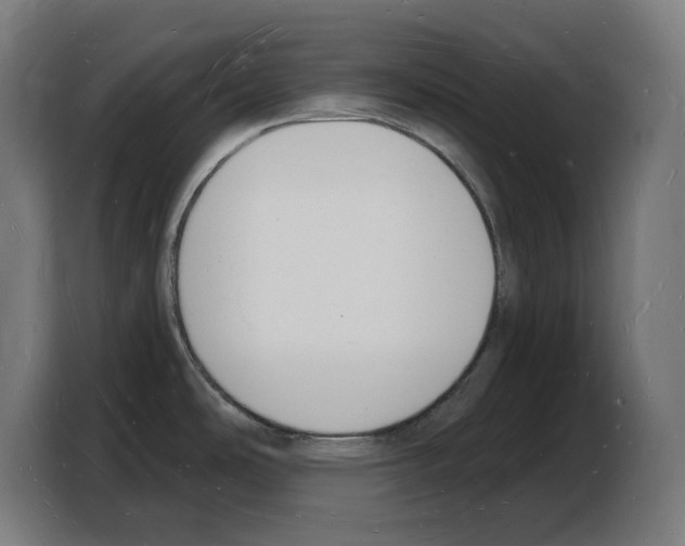 X0000103971486200810311514