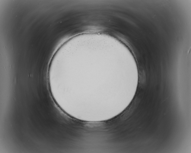 X0000103971487200810311514