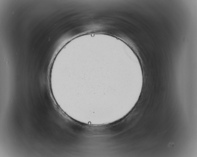 X0000103971488200810311514