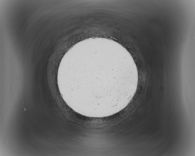 X0000103971489200810311514