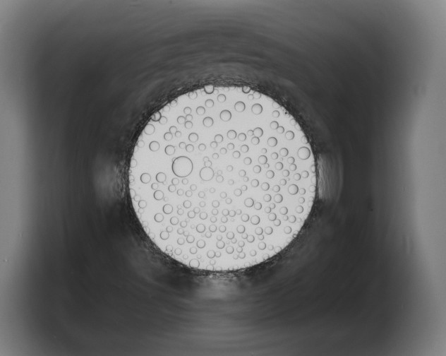 X0000103971491200810311514