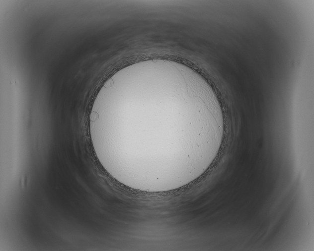 X0000103971492200810311514