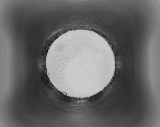 X0000103971494200810311514