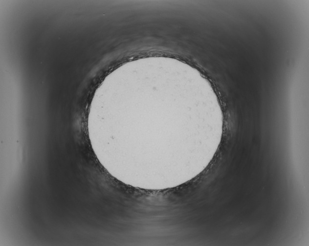 X0000103971495200810311514