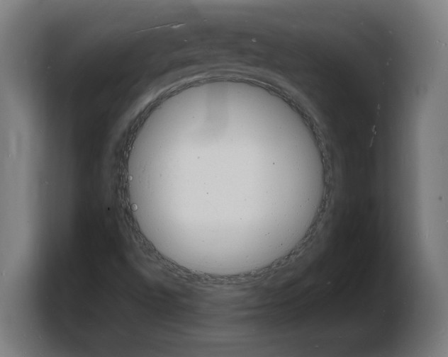 X0000103971496200810311514