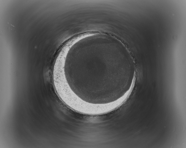 X0000103971497200810311514