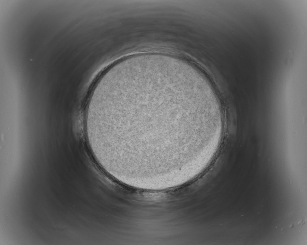 X0000103971498200810311514