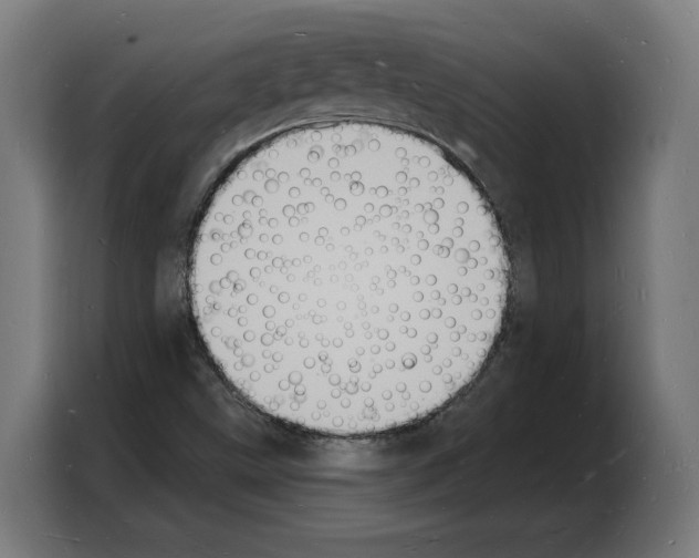 X0000103971499200810311514