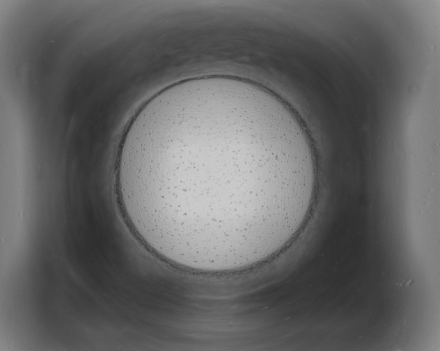 X0000103971500200810311514