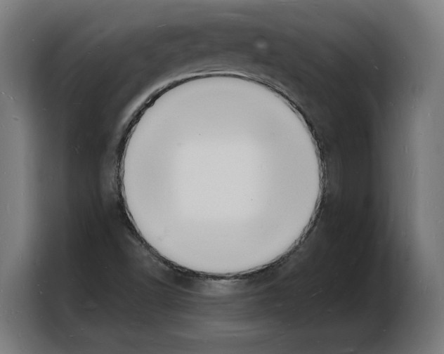 X0000103971502200810311514