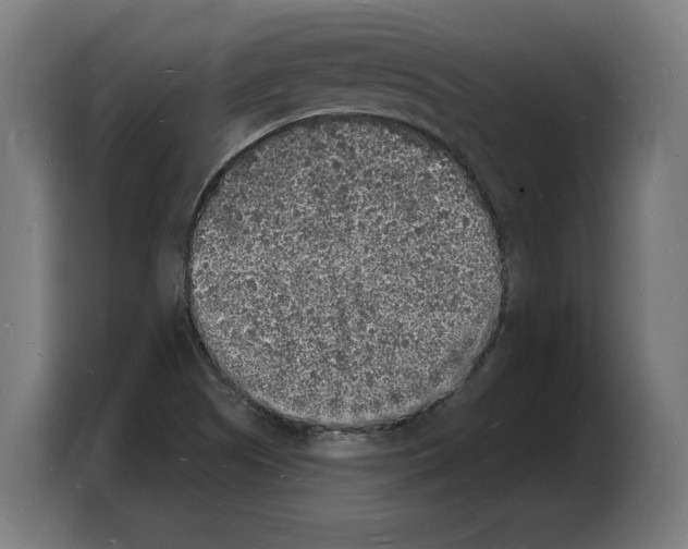 X0000103971505200810311514