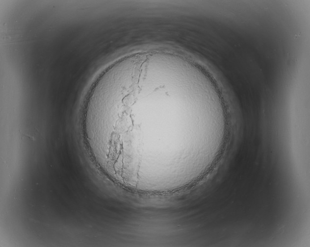 X0000103971506200810311514