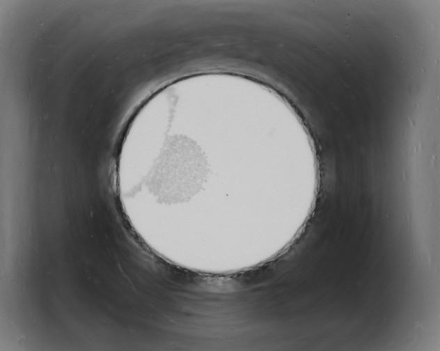 X0000103971509200810311514