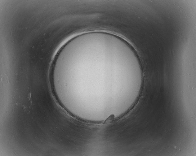 X0000103971510200810311514