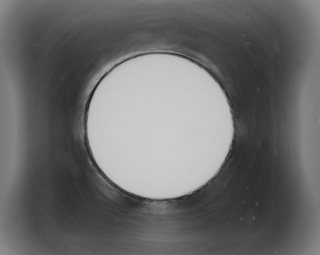X0000103971512200810311514