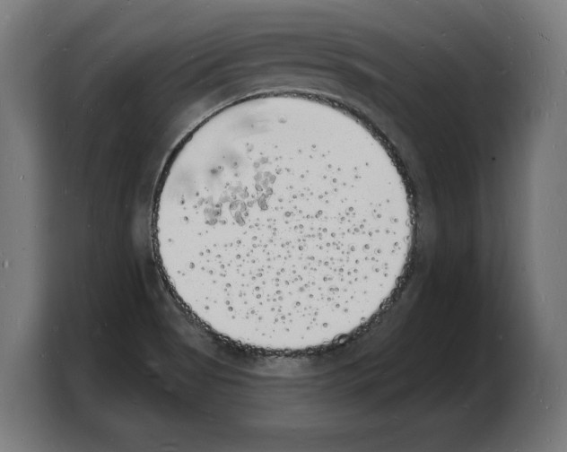 X0000103971513200810311514