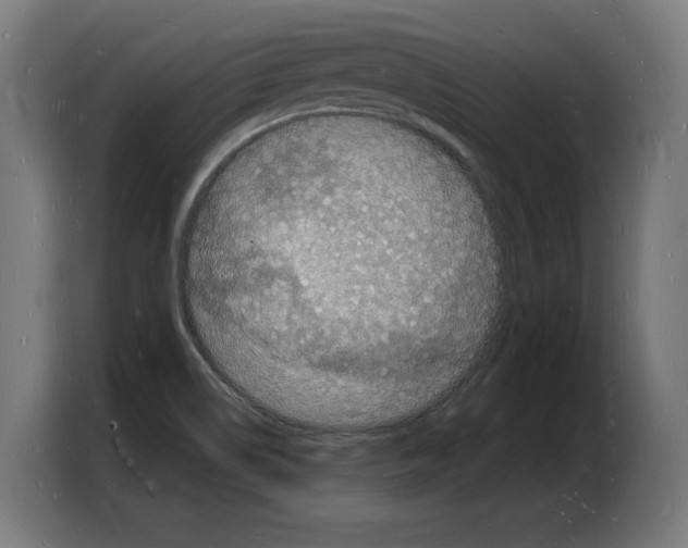 X0000103971514200810311514