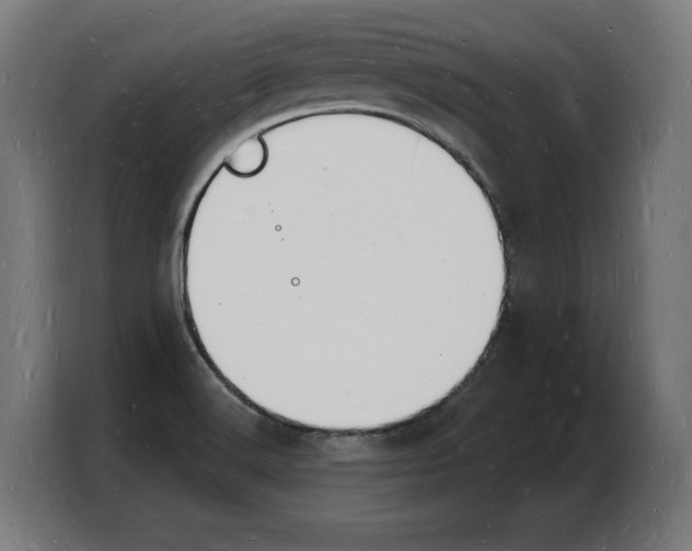 X0000103971516200810311514