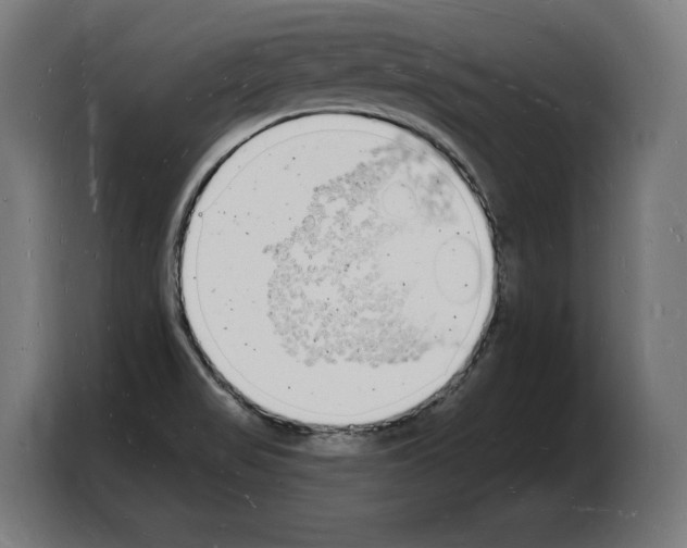 X0000103971517200810311514