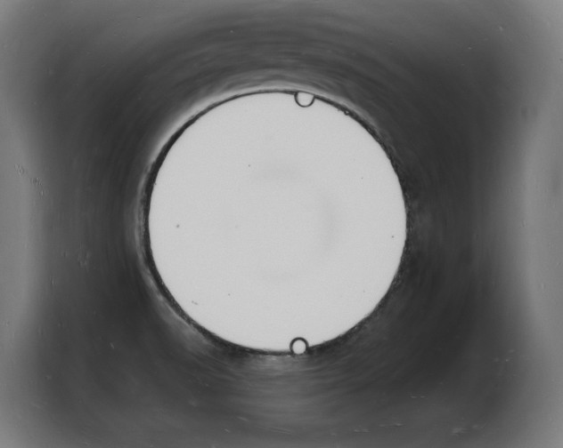 X0000103971518200810311514