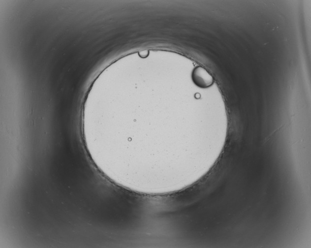 X0000103971520200810311514