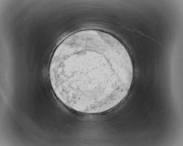 X0000103971521200810311514